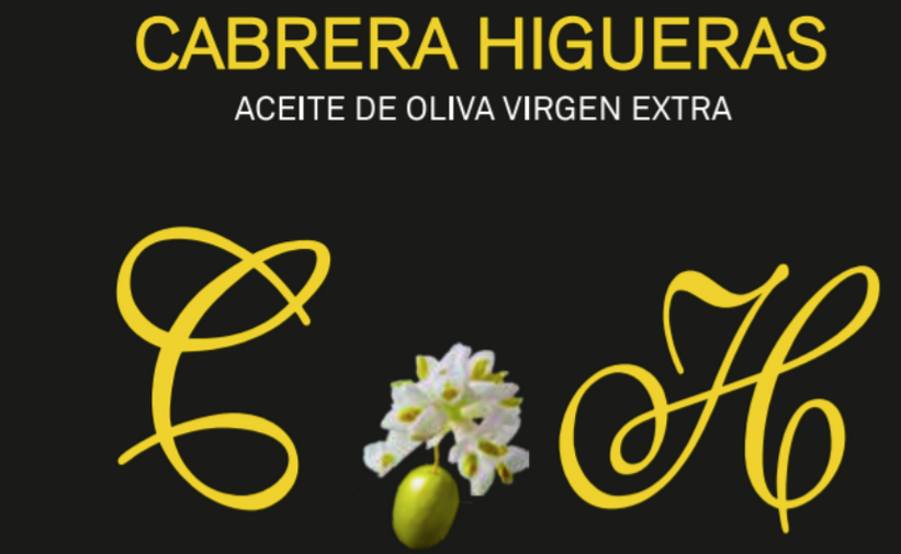 Logo Web
